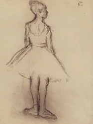 Ballerina viewed from the back
